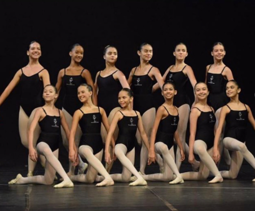 Seminário Internacional de Dança de Brasília